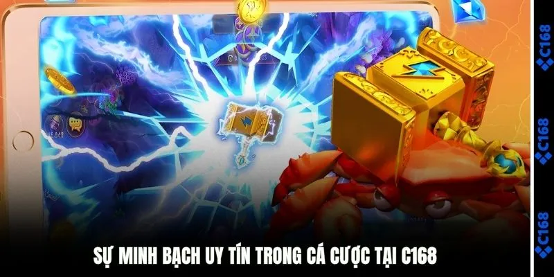 Sự minh bạch và uy tín trong cá cược 